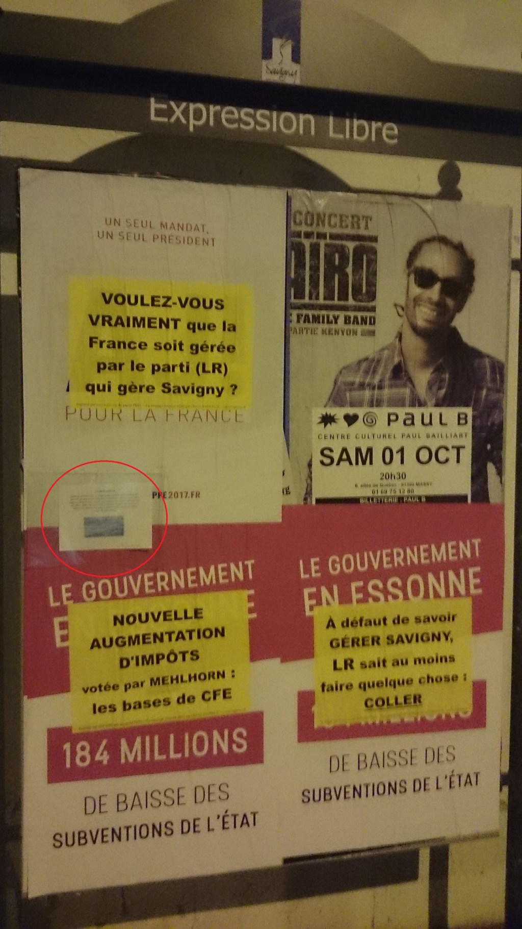 Savigny-sur-Orge : le message de Coline, 10 ans, pour sauver les&nbsp;animaux