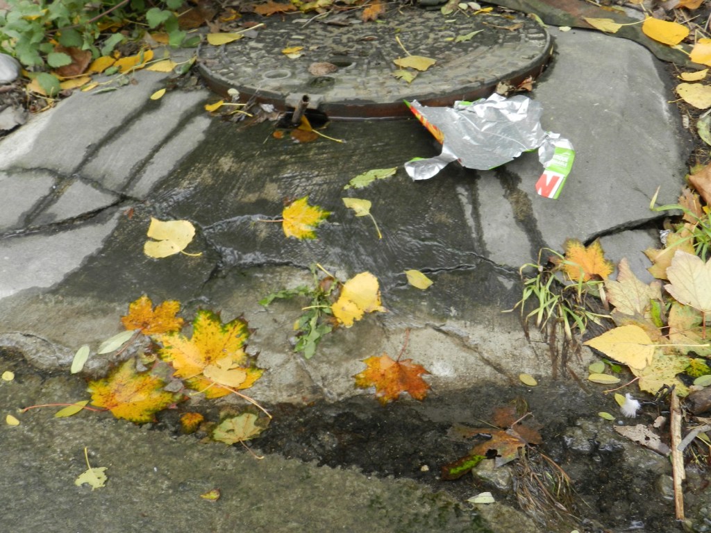 Charaintru à Savigny-sur-Orge : un deuxième échec de la réparation&nbsp;?