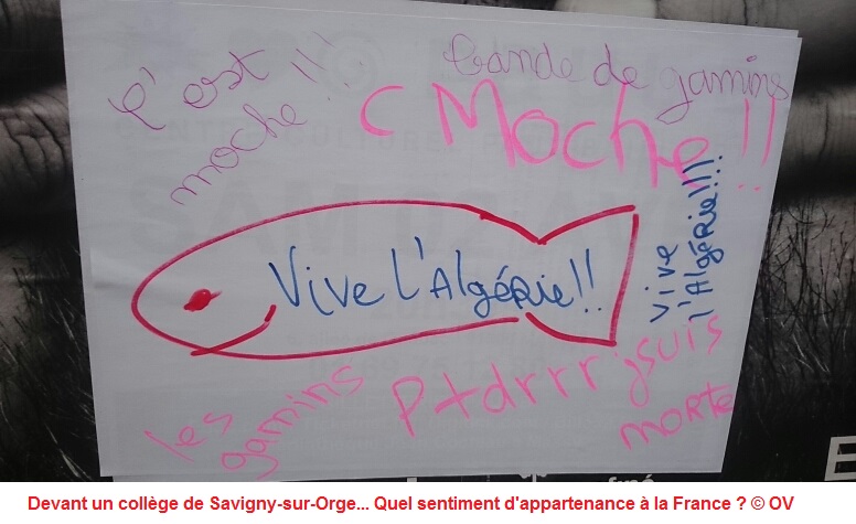 Étrangers et expatriés ; le paradoxe du droit de vote&nbsp;français