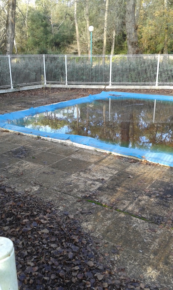 Saviniens, voyez ce que devient notre Savinière – Nouvelles de décembre&nbsp;2016