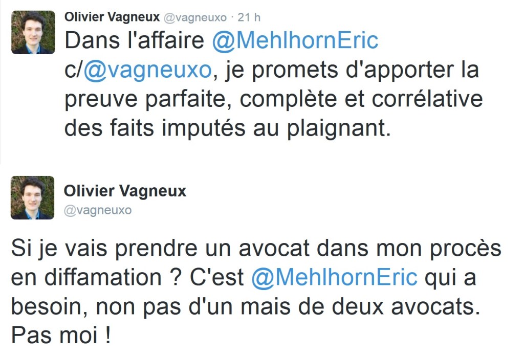 Pourquoi je vais gagner le procès en diffamation que m&rsquo;intente Éric&nbsp;MEHLHORN