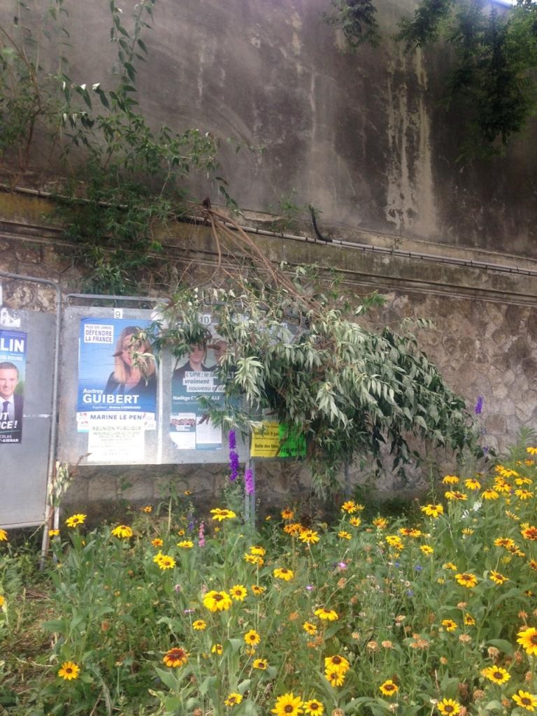 Brève de campagne : étranges coïncidences à Savigny-sur-Orge