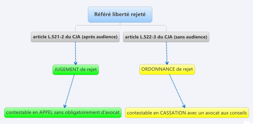 Référé liberté rejeté : appel ou cassation, avec ou sans avocat&nbsp;?