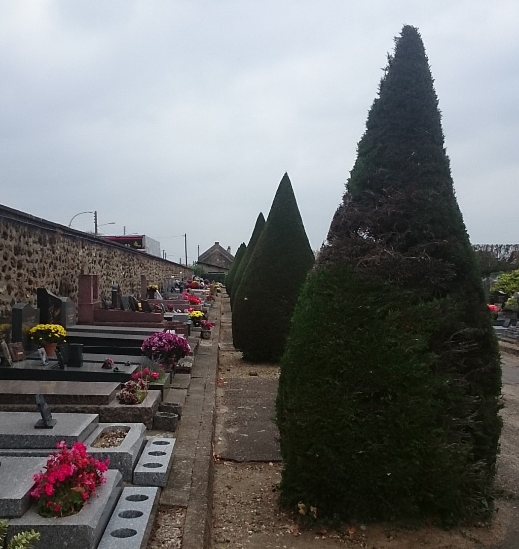 Coup de gueule contre les espaces d&rsquo;implantation des nouveaux arbres au cimetière Champagne à Savigny-sur-Orge