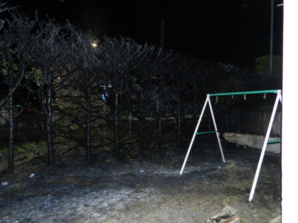 Incendie de la haie de ma maison – photos de&nbsp;nuit