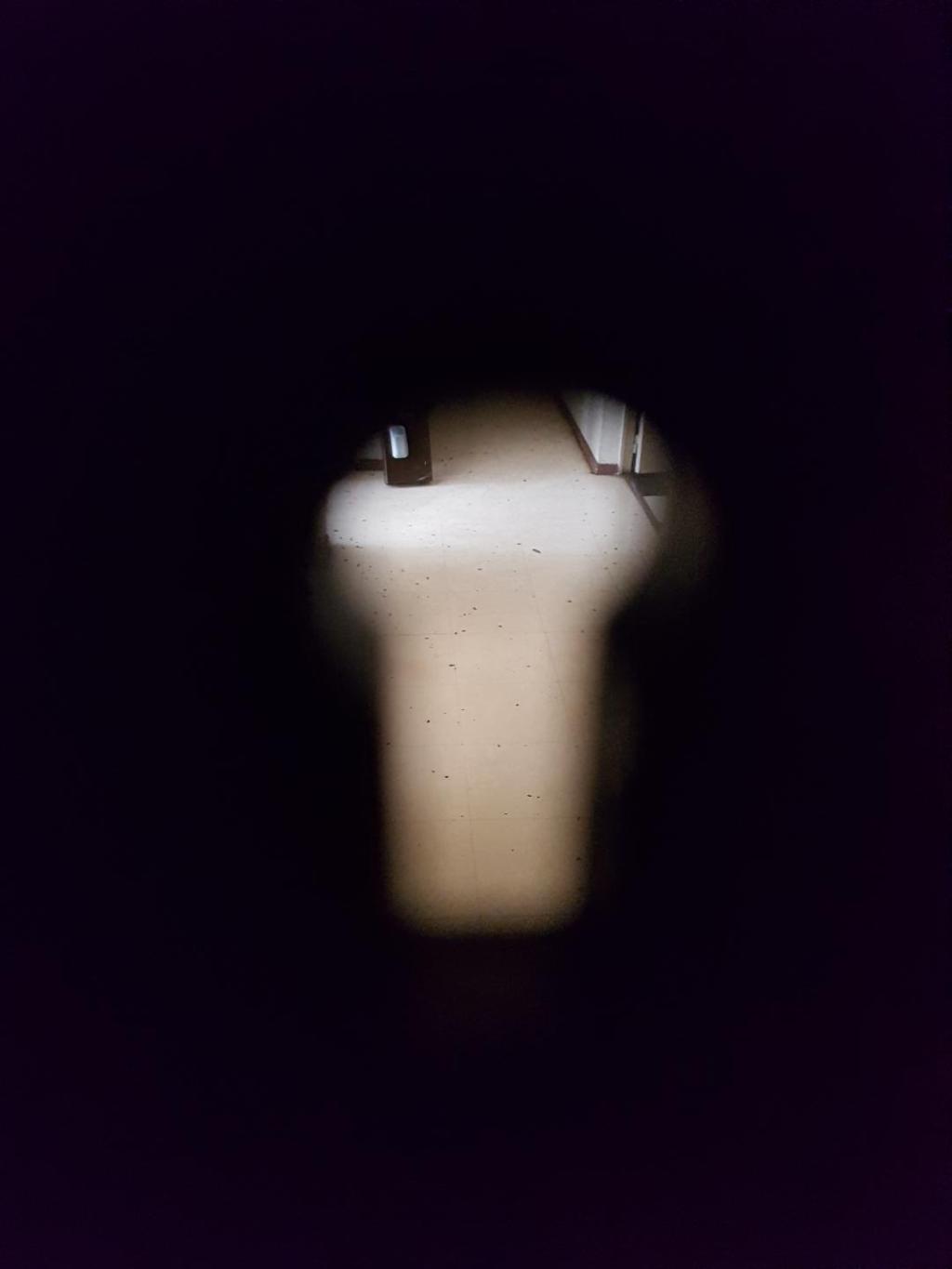 Invasion de cafards dans la barre UTRILLO à Grand-Vaux&nbsp;!