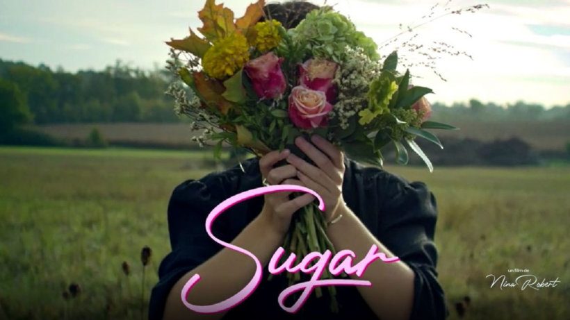 Sur le documentaire « Sugar Babies » de Nina&nbsp;ROBERT