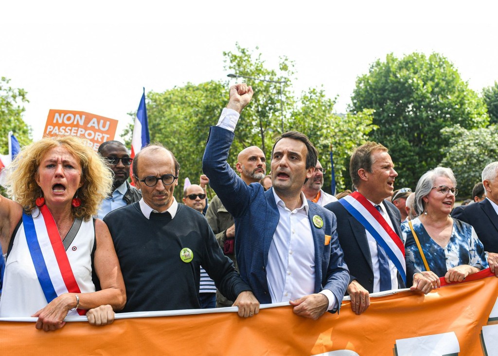 L&rsquo;impossible structuration des Gilets jaunes et autres manifestants dits « complotistes » : le cas Florian&nbsp;PHILIPPOT