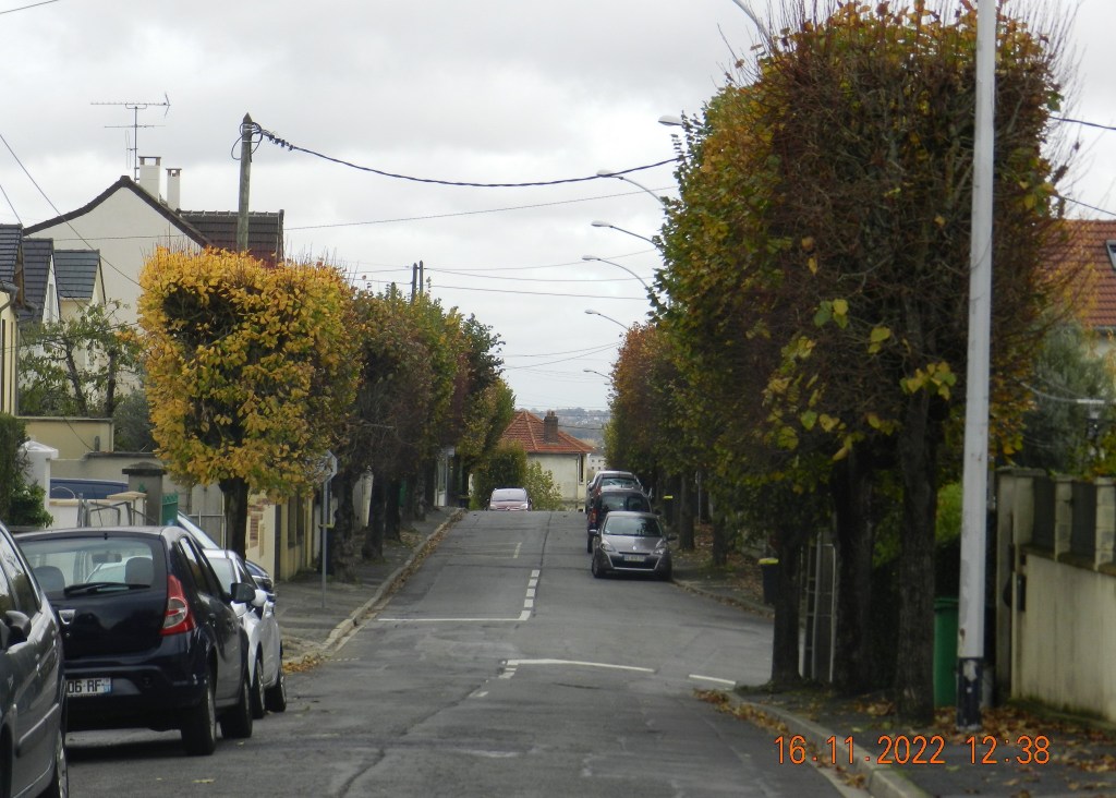Alerte !!! Alexis TEILLET veut abattre les arbres (tilleuls) de l&rsquo;avenue Paul-Sumien à Savigny-sur-Orge